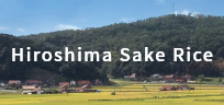 An Introduction to Sake